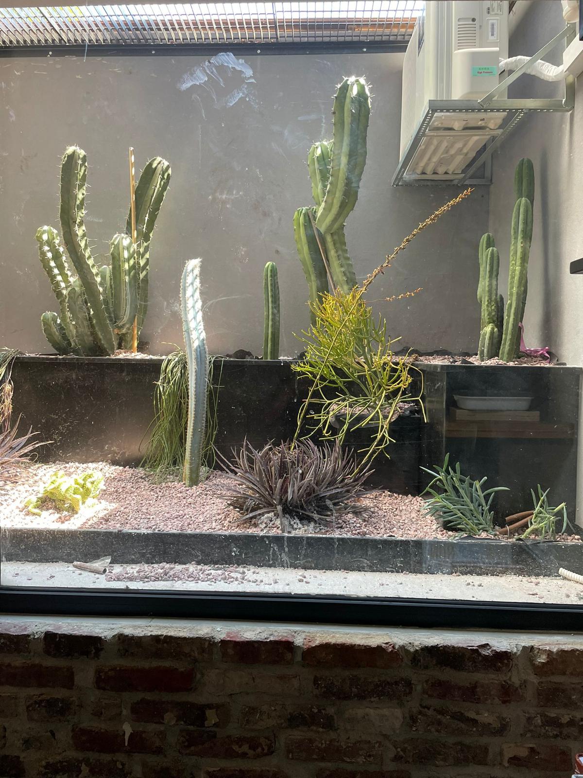 עיצוב נוף - מסגריית בוטה יוסף