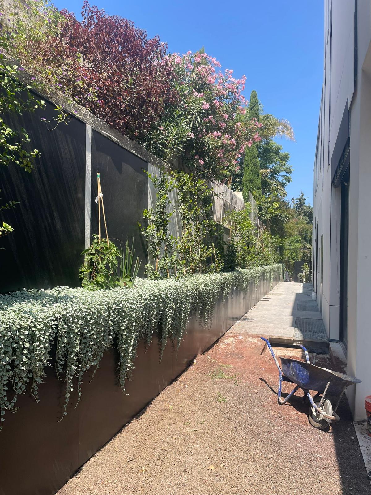 אדריכלות נוף - פרויקט גינה